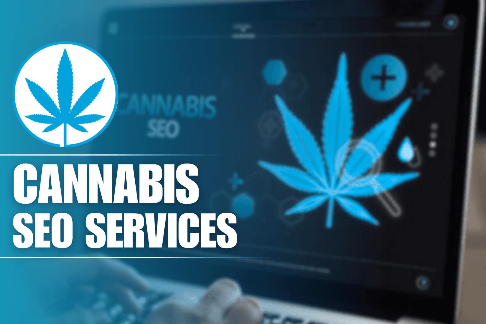 Cannabis SEO Services Drive Visibility, Traffic &amp; Sustainable Growth
