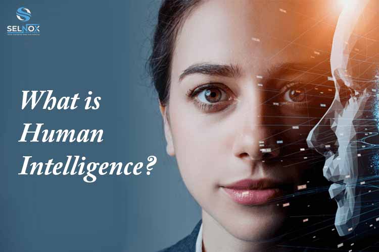 What is Human Intelligence?